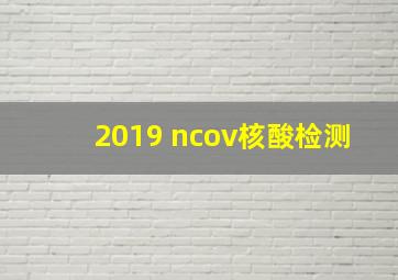 2019 ncov核酸检测